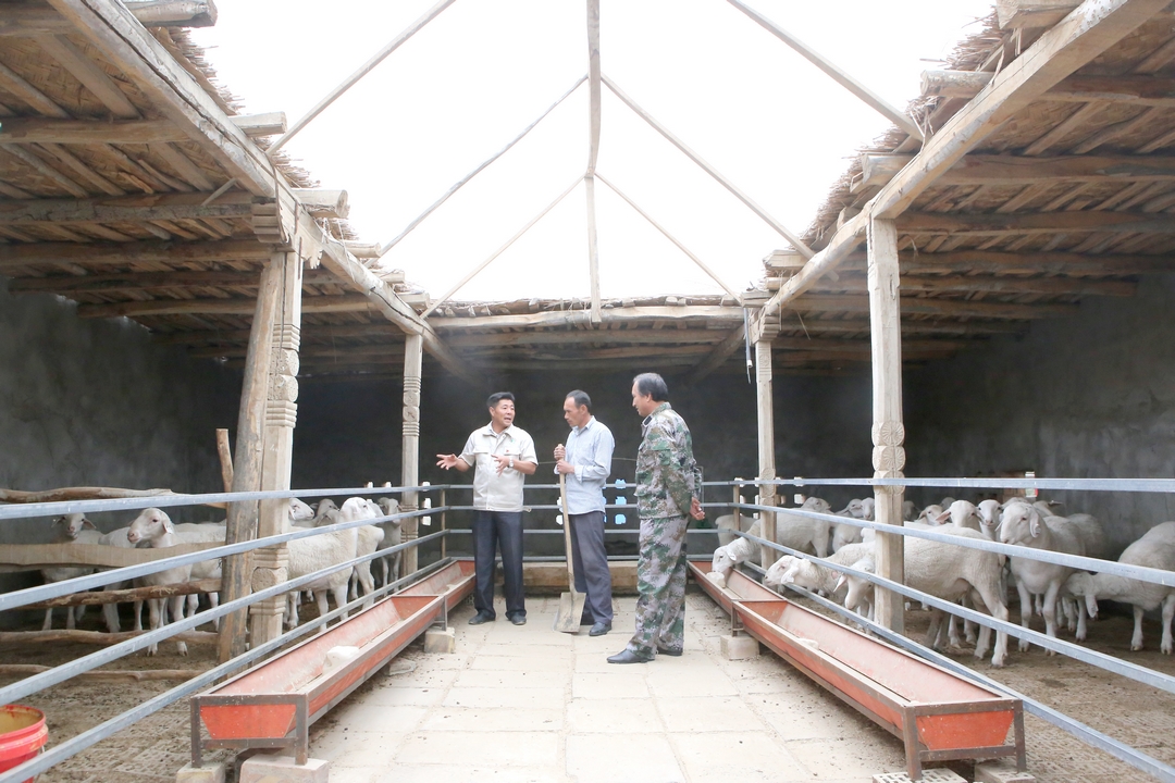 當(dāng)好產(chǎn)業(yè)扶貧主力軍,打贏脫貧攻堅(jiān)戰(zhàn)